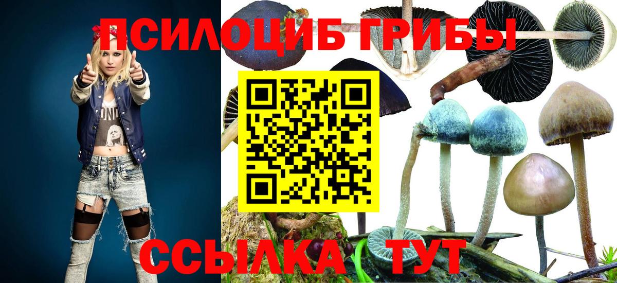 Псилоцибиновые грибы мицелий Королёв